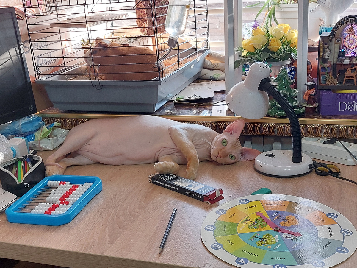 Ученье- свет. 