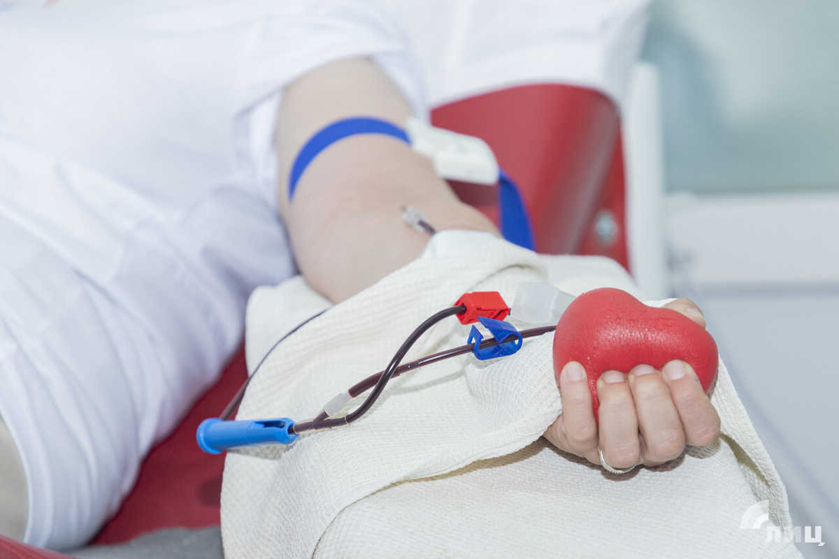    Фото: Луганский Информационный Центр/Чмирова Дарья