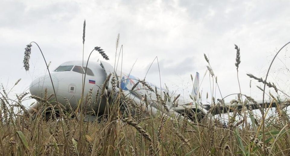    РИА «Новости»