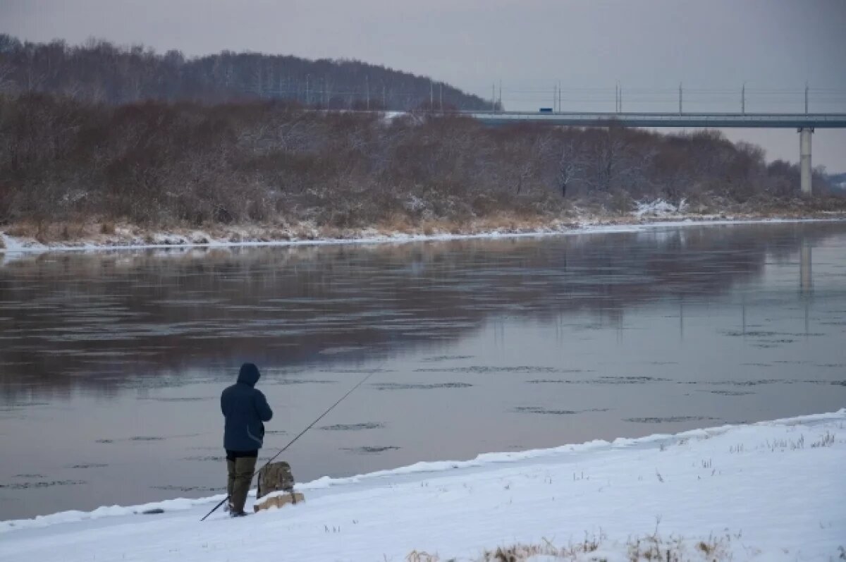    Строительная готовность нового моста через Оку под Рязанью достигла 16,7%