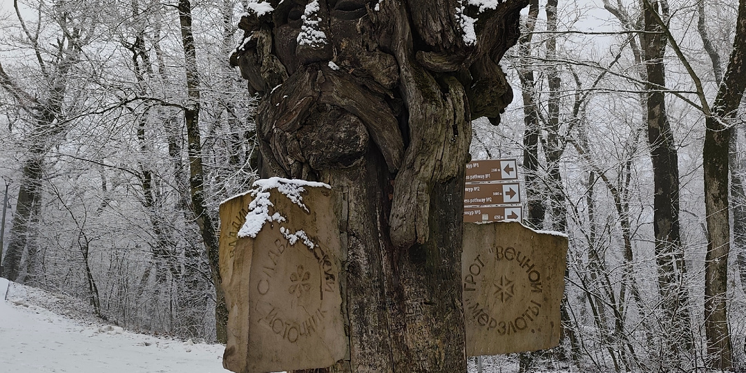 Пути к болезням, по которым лучше не ходить