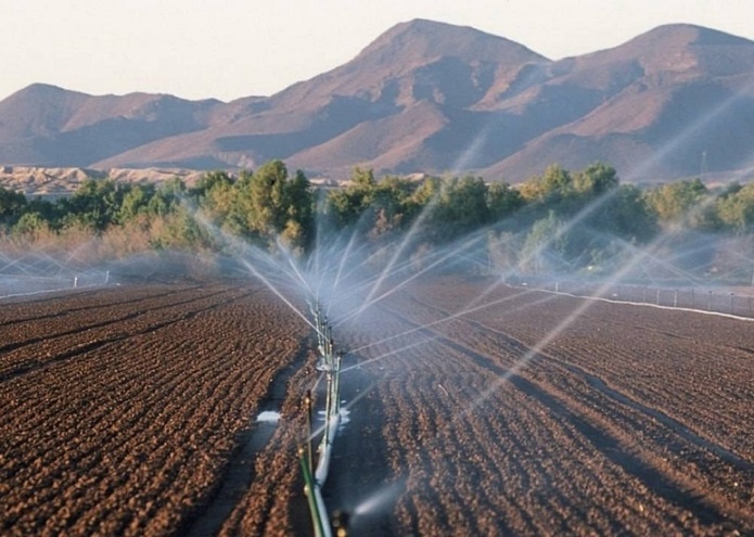 Фото с сайта yuz.uz