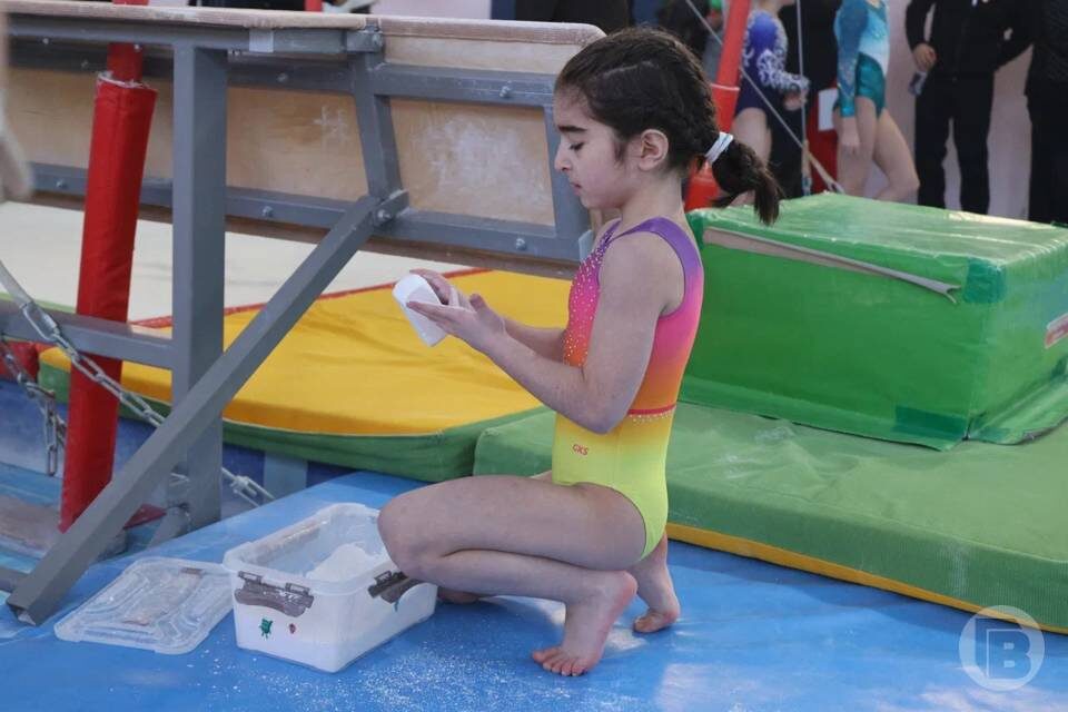    фото: Дмитрий Рогулин / "Городские вести"