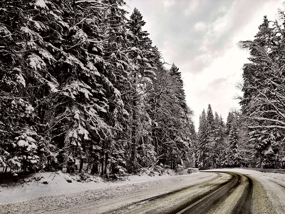 Асфальтированная дорога в курортный поселок Домбай зимой, Карачаево-Черкесская республика. Фото автора
