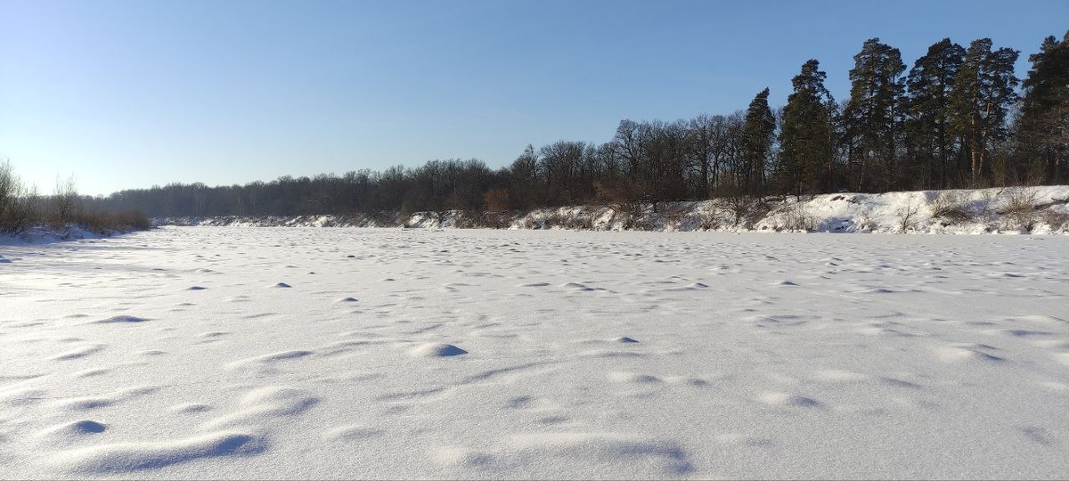 Река Сура. Фото автора<<<