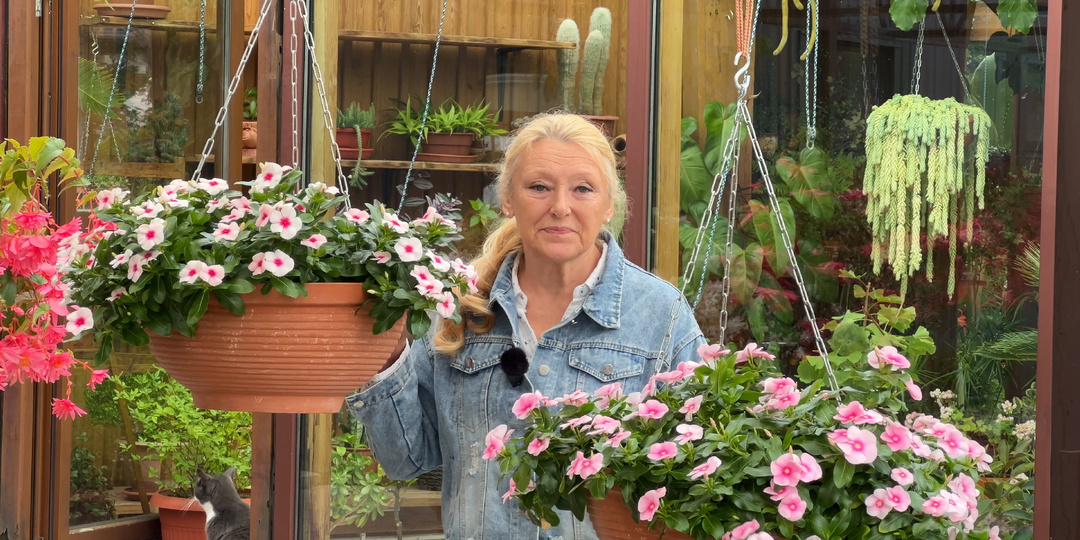 ЦВЕТЫ для ЖАРКОГО лета