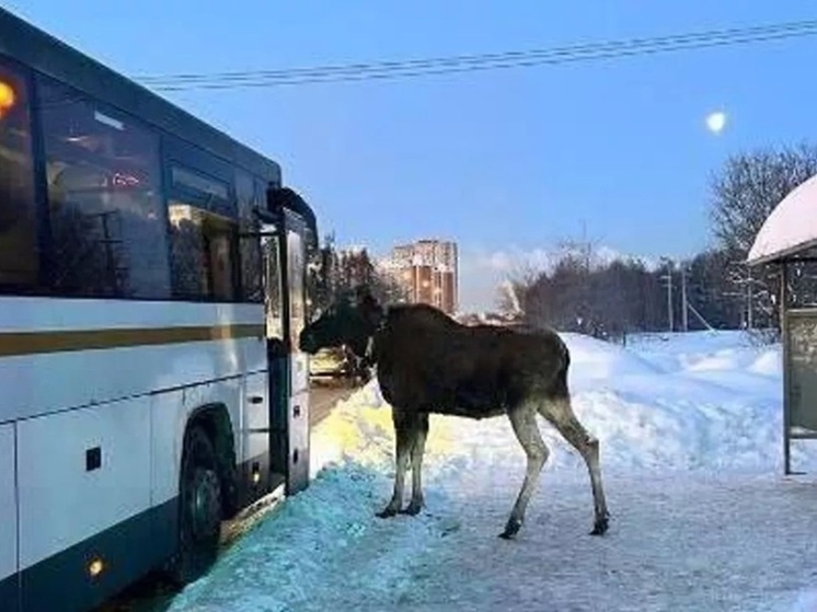     ФОТО: ТЕЛЕГРАМ-КАНАЛ ГОСАВТОИНСПЕКЦИИ РФ