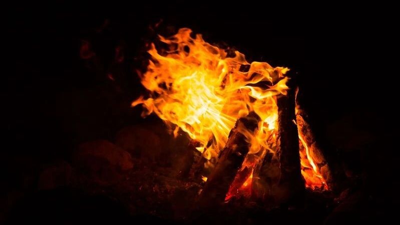    Фото: Lima_84/Shutterstock/Fotodom