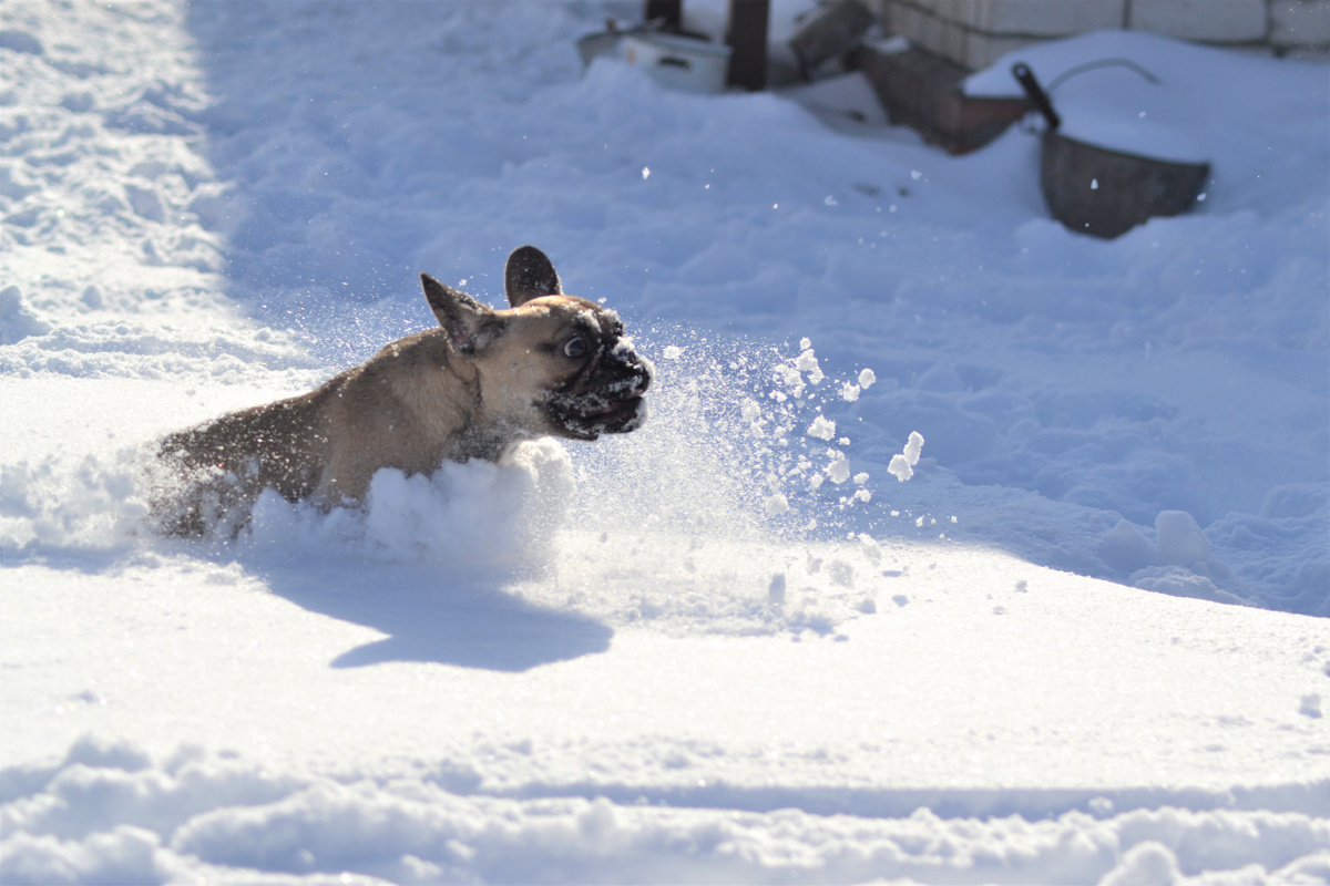 Старое фото Жужи