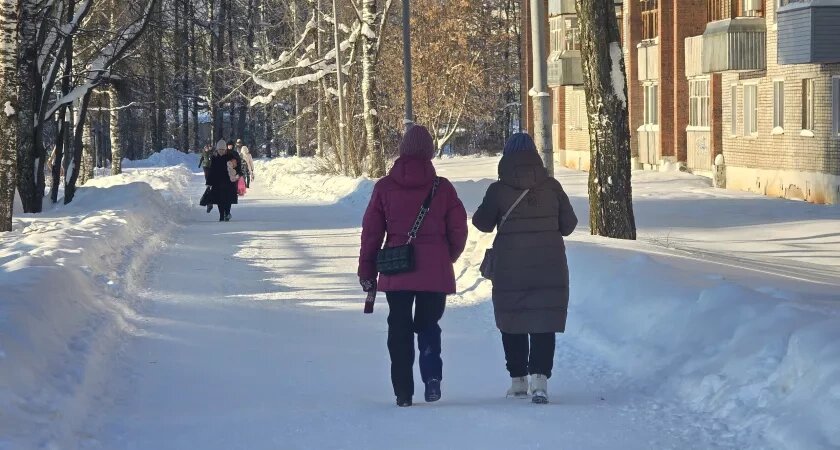    Фото progorod43.ru