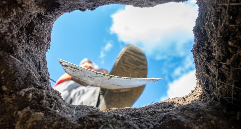    Фото: Istock/gabort71