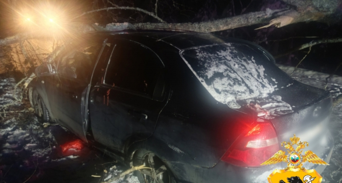    УМВД России по Ярославской области