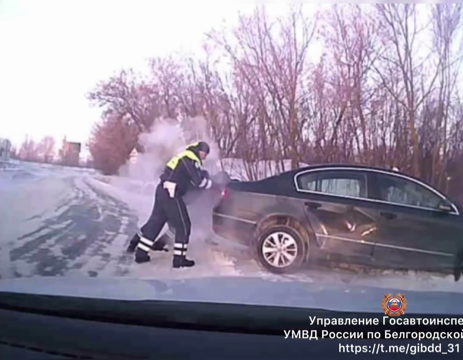     Фото: скриншот видео t.me/gibdd_31