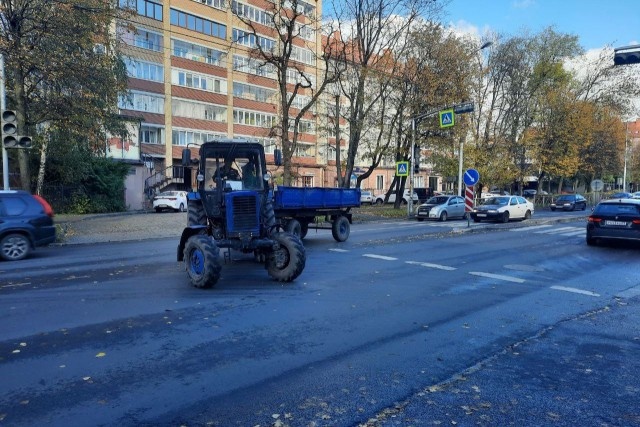   Фото: Калининград.Ru