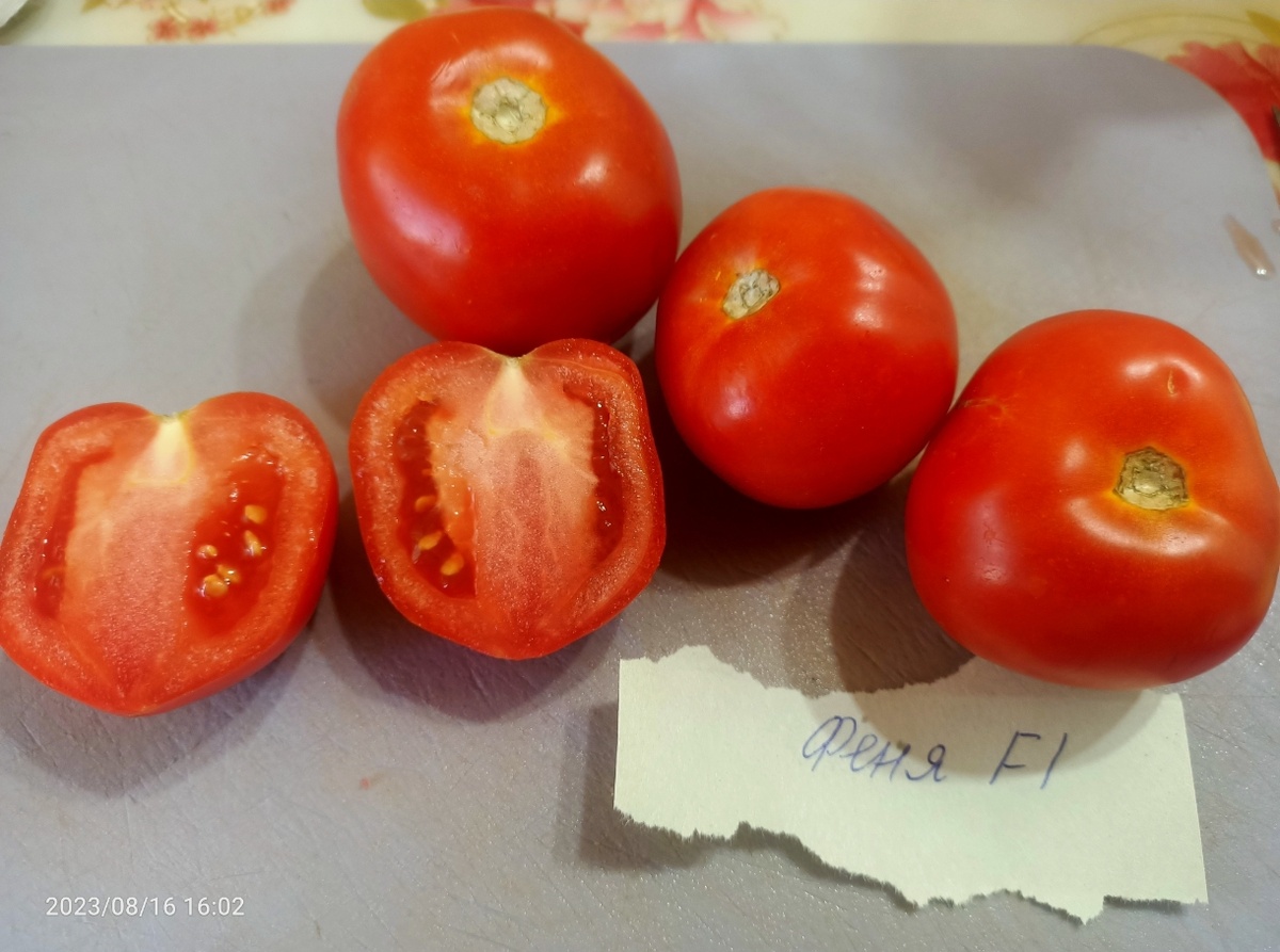 Фото из личного архива. Феня F1