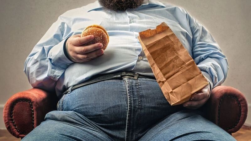    Фото: Ollyy/Shutterstock/Fotodom