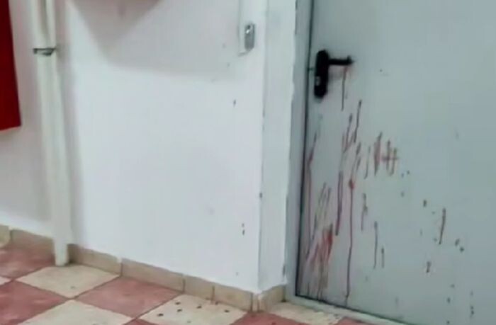 Иллюстрация: тг-канал "Суворовский"