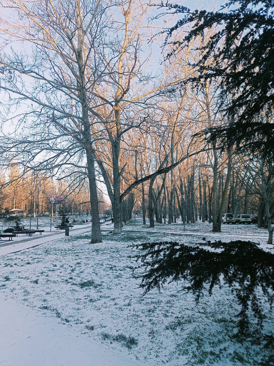 Фото автора. Вот такая у нас зима.