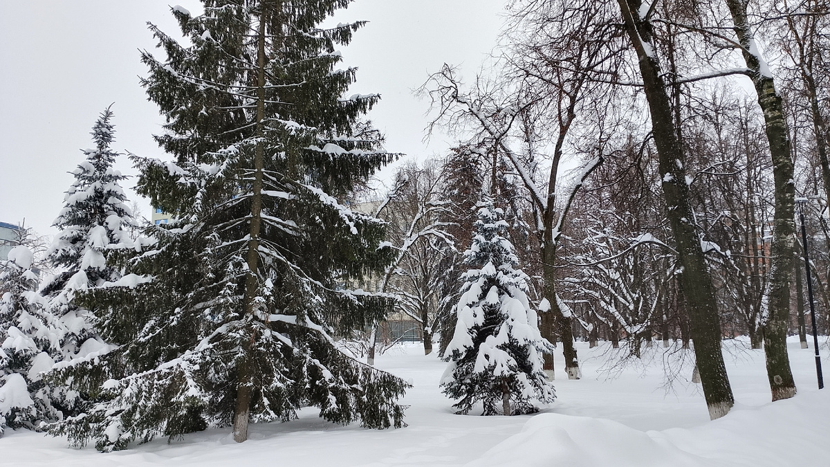 Площадь Мира. Калуга. 27.01.2026г