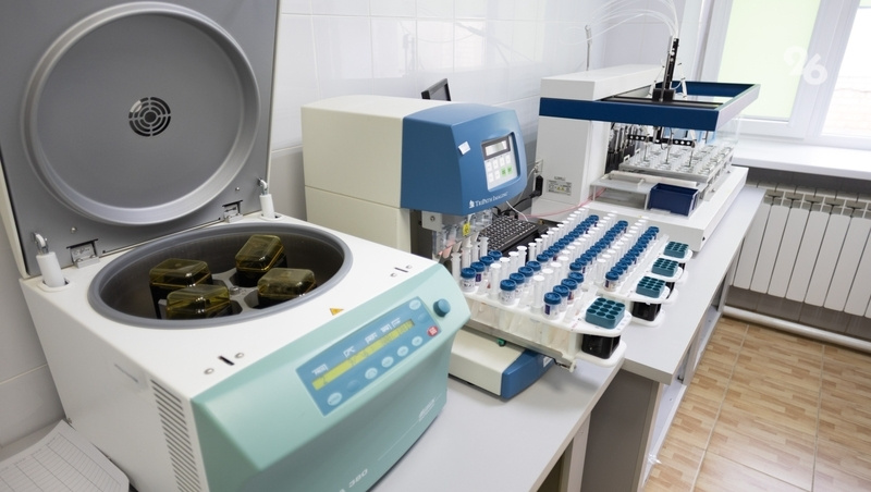      Фото: Валерия Алтухова / / ИА «Победа26»