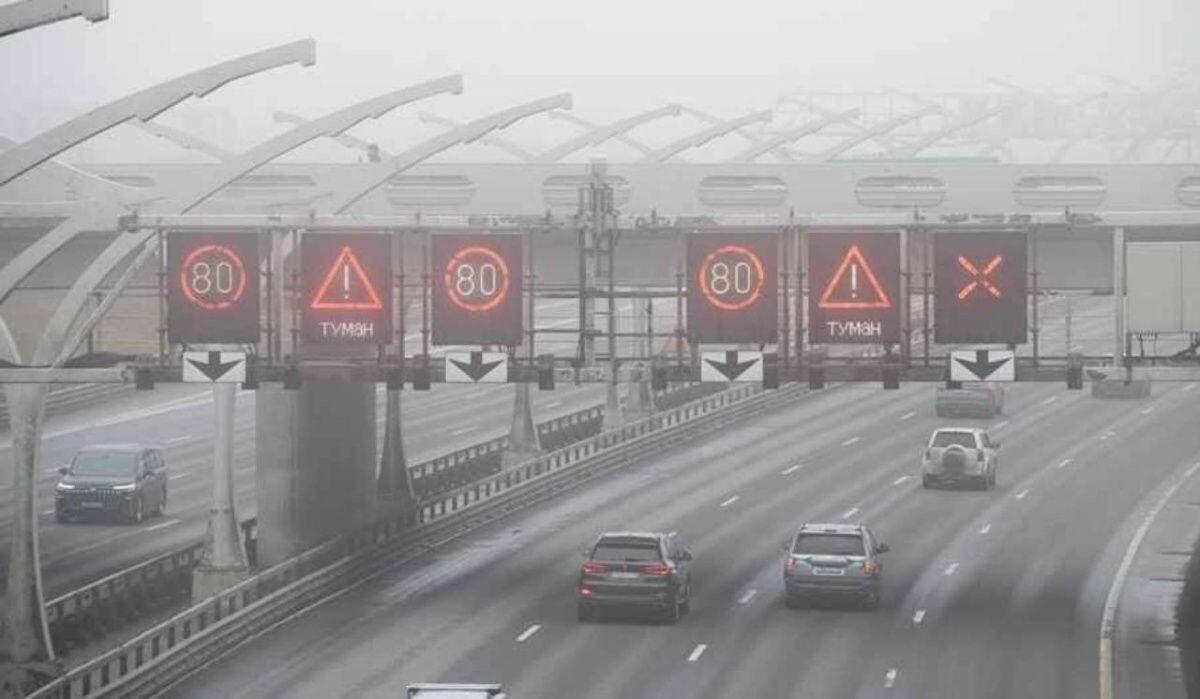     ЗСД. Источник: dp.ru Автор фото: Ермохин Сергей