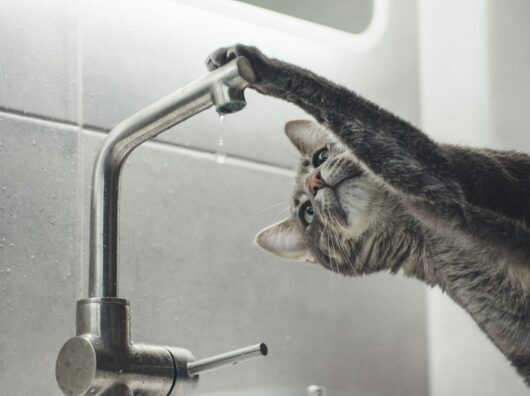    // фото: reporter-nn.ru