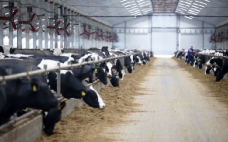    Фото: Минсельхоз Липецкой области