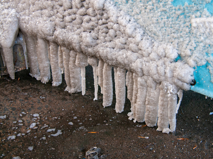     ФОТО: Svetlana Vozmilova / Global Look Press