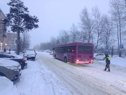 Фото: управление ГАИ по Свердловской области