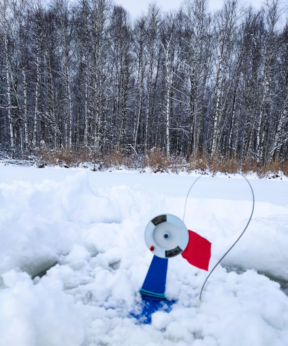 Покупная и зимняя жерлица.