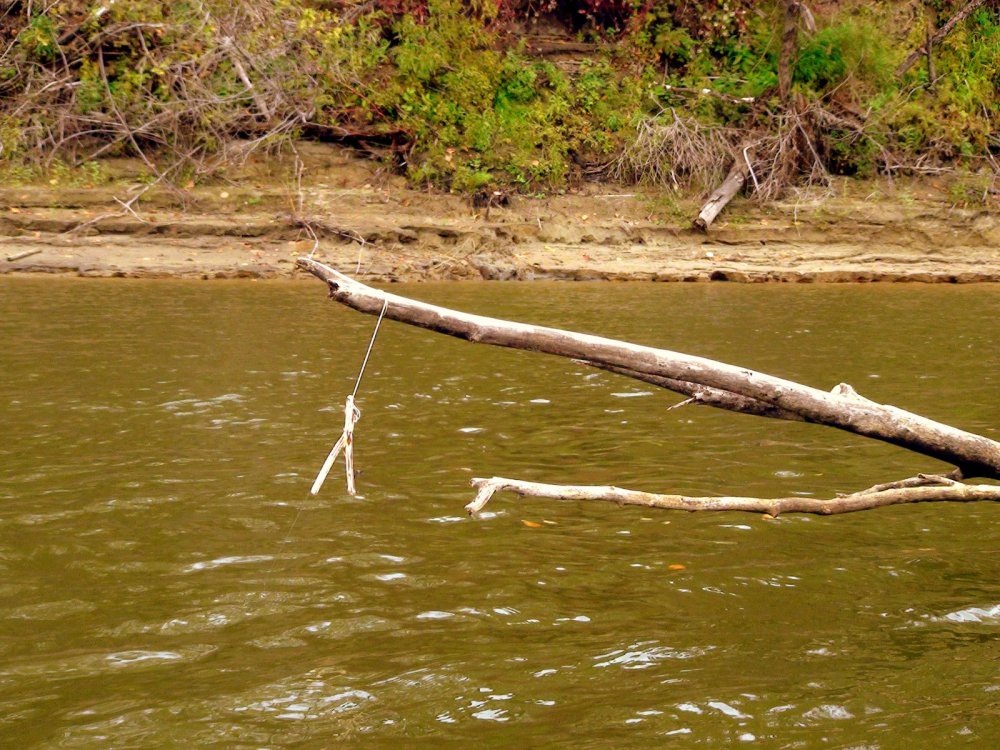 Пример классической летней жерлицы.
