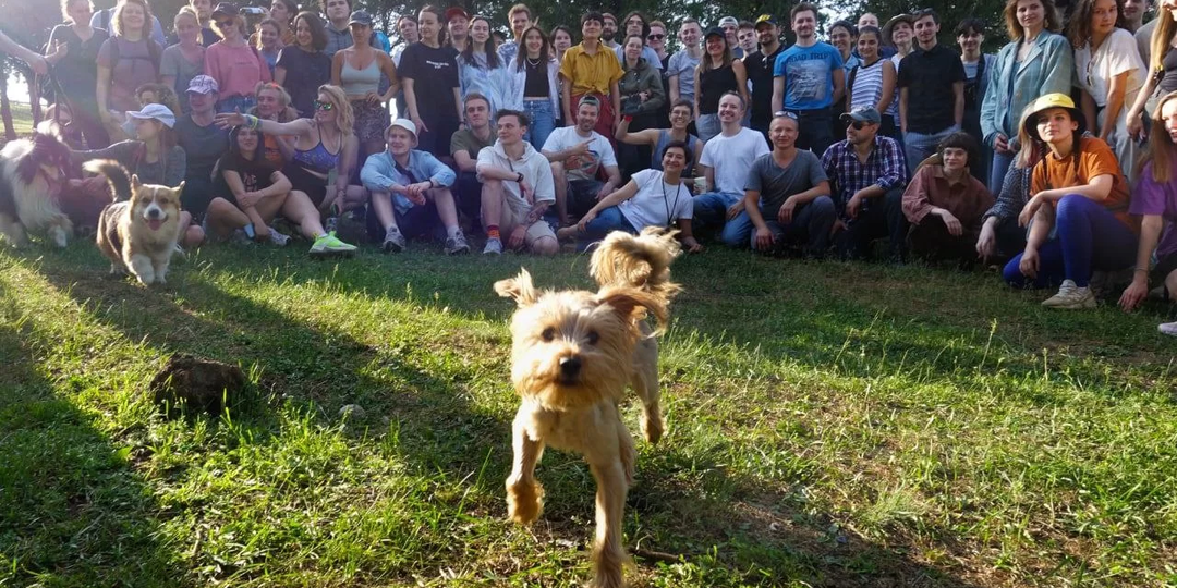 А вы бы поехали волонтёром в Грузию в 2026 году: программы, условия, плюсы