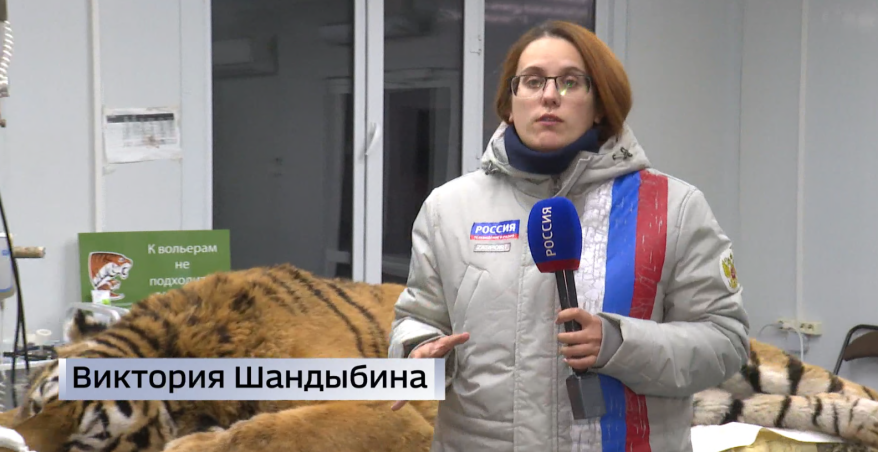    Источник фото: