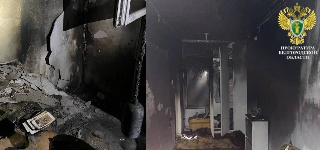    Фото: пресс-служба прокуратуры Белгородской области