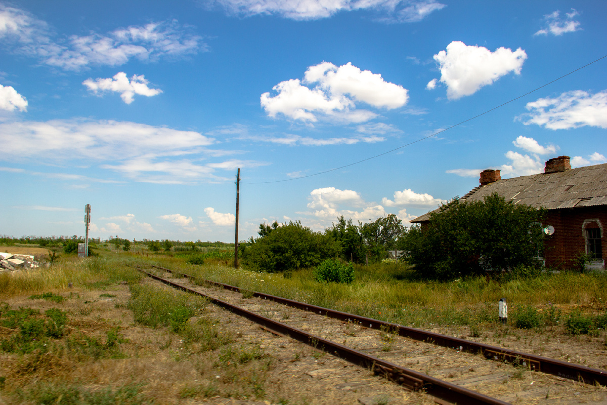 Фото автора. Степная, 2024