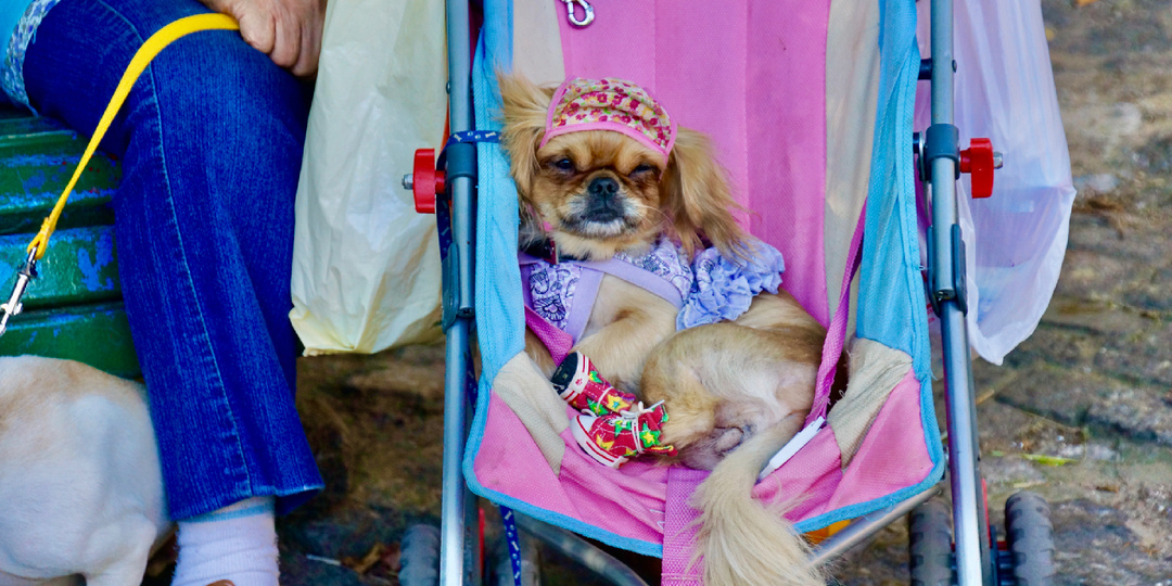 Буэнос-Айрес – город, который живёт в ритме танго и футбола