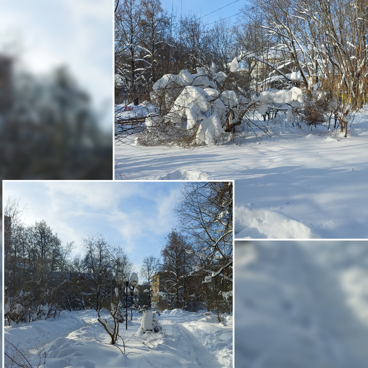 Фото с прогулки.