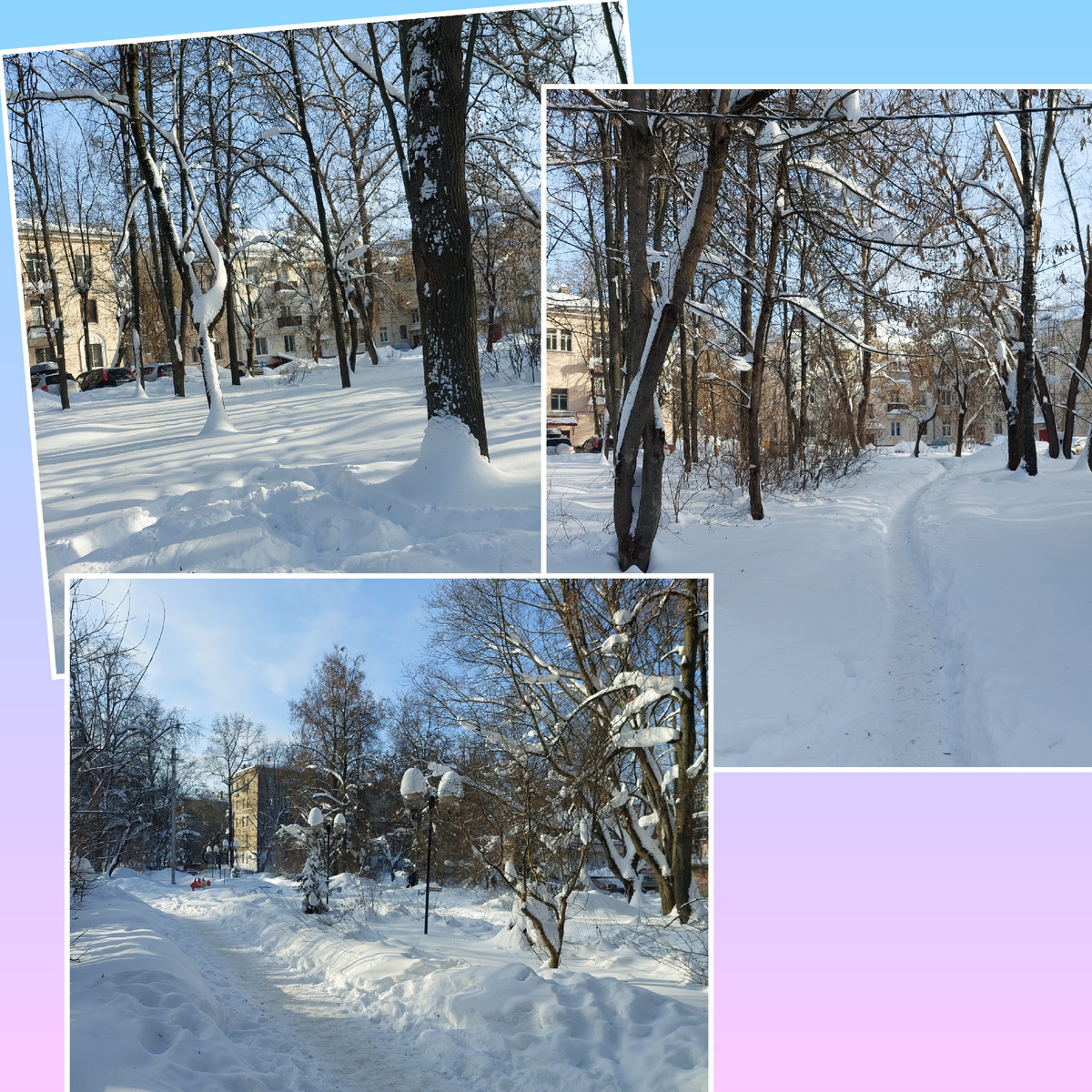 Фото автора.