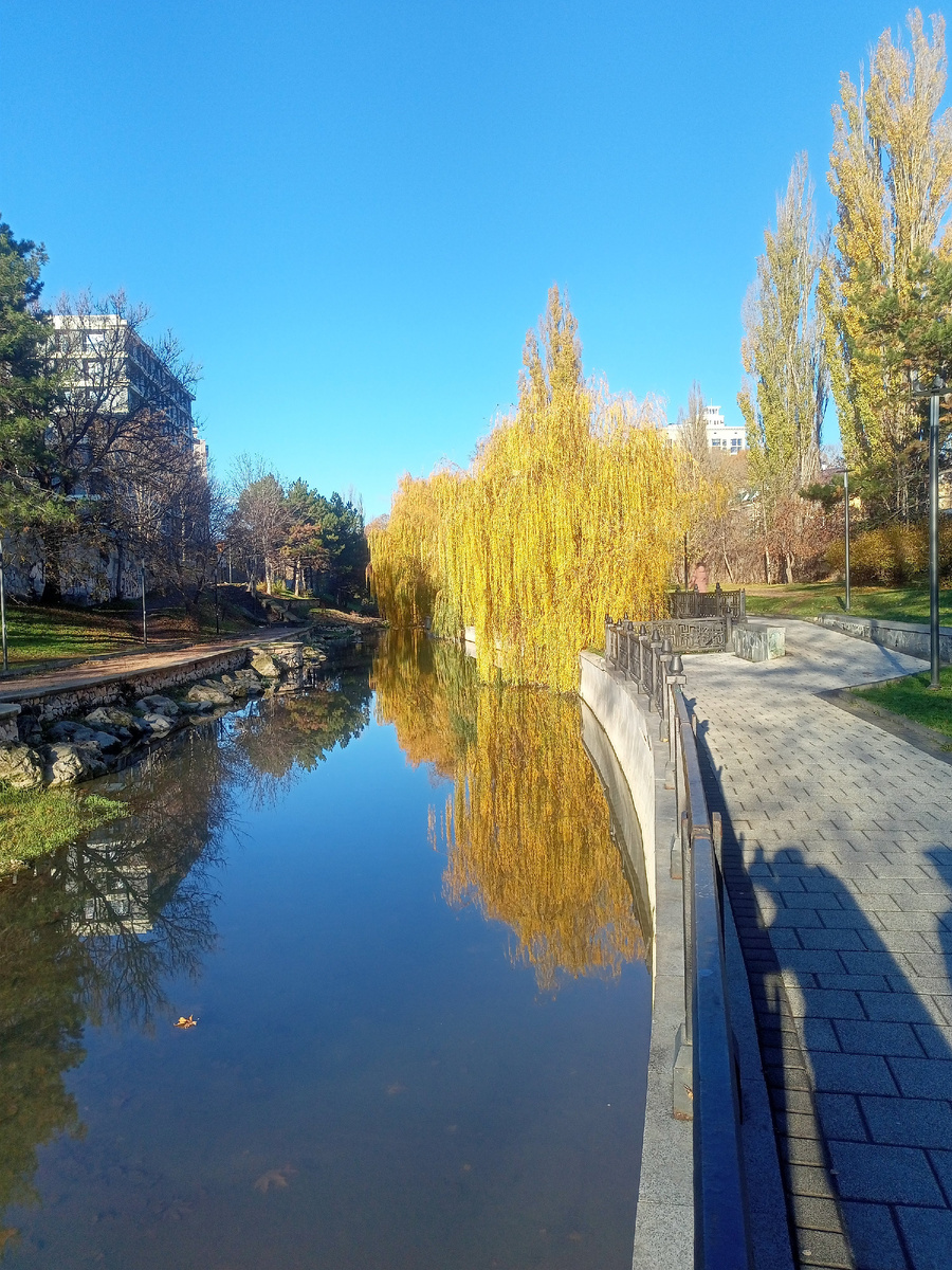 Фото автора.