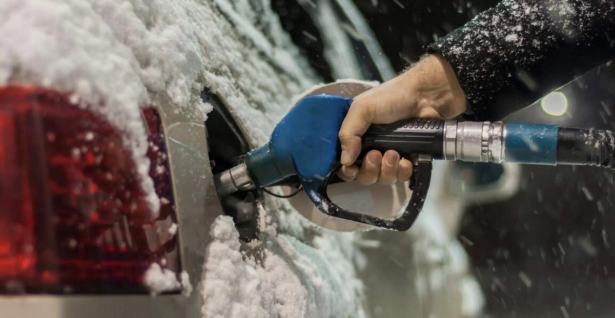 Фото из открытых источников 