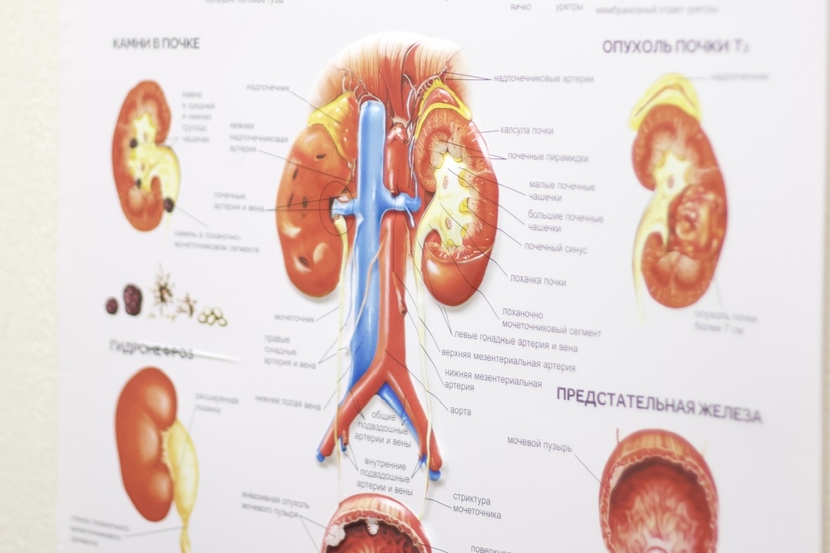 Фото с сайта "Екатеринбургский седицинский центр"