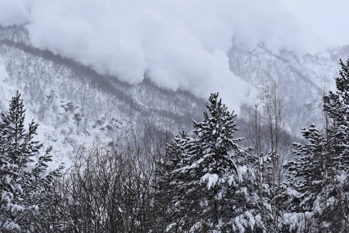     © РИА Новости. Антон Подгайко