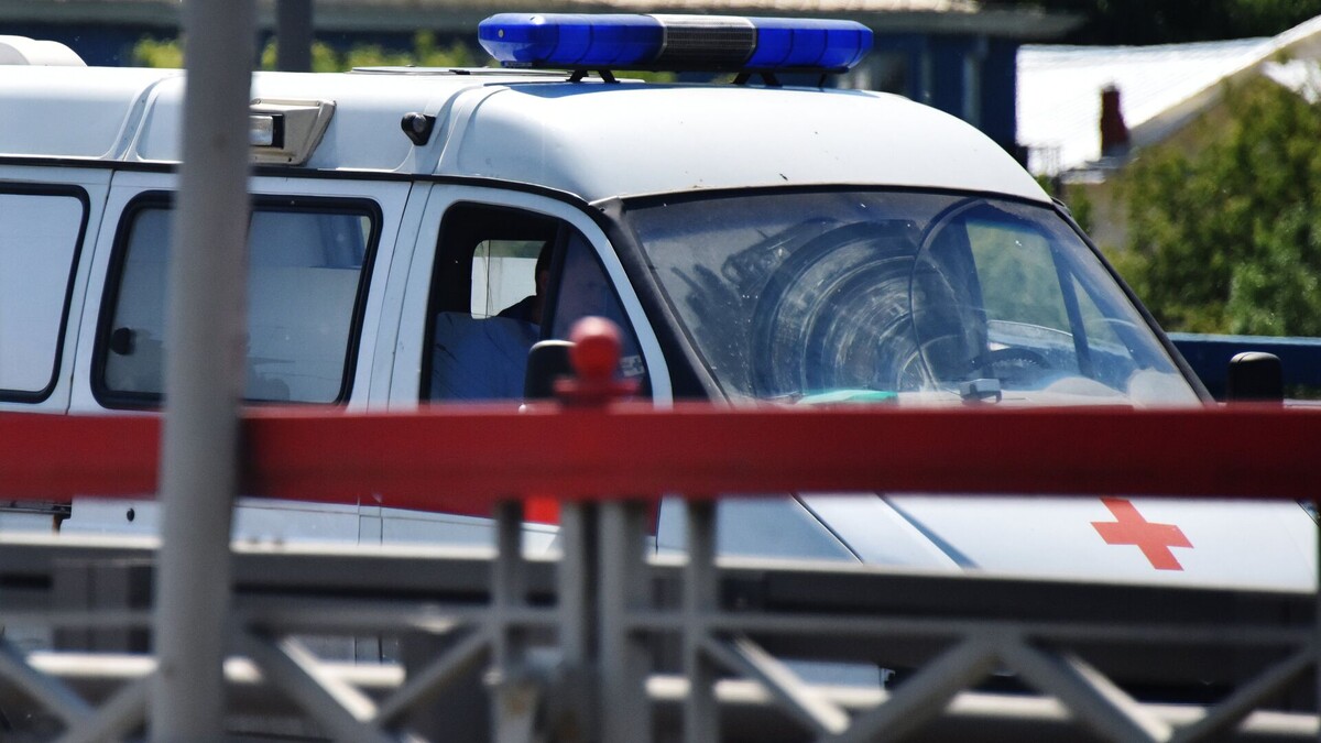 © Sputnik / Наталья Селиверстова / Перейти в фотобанк