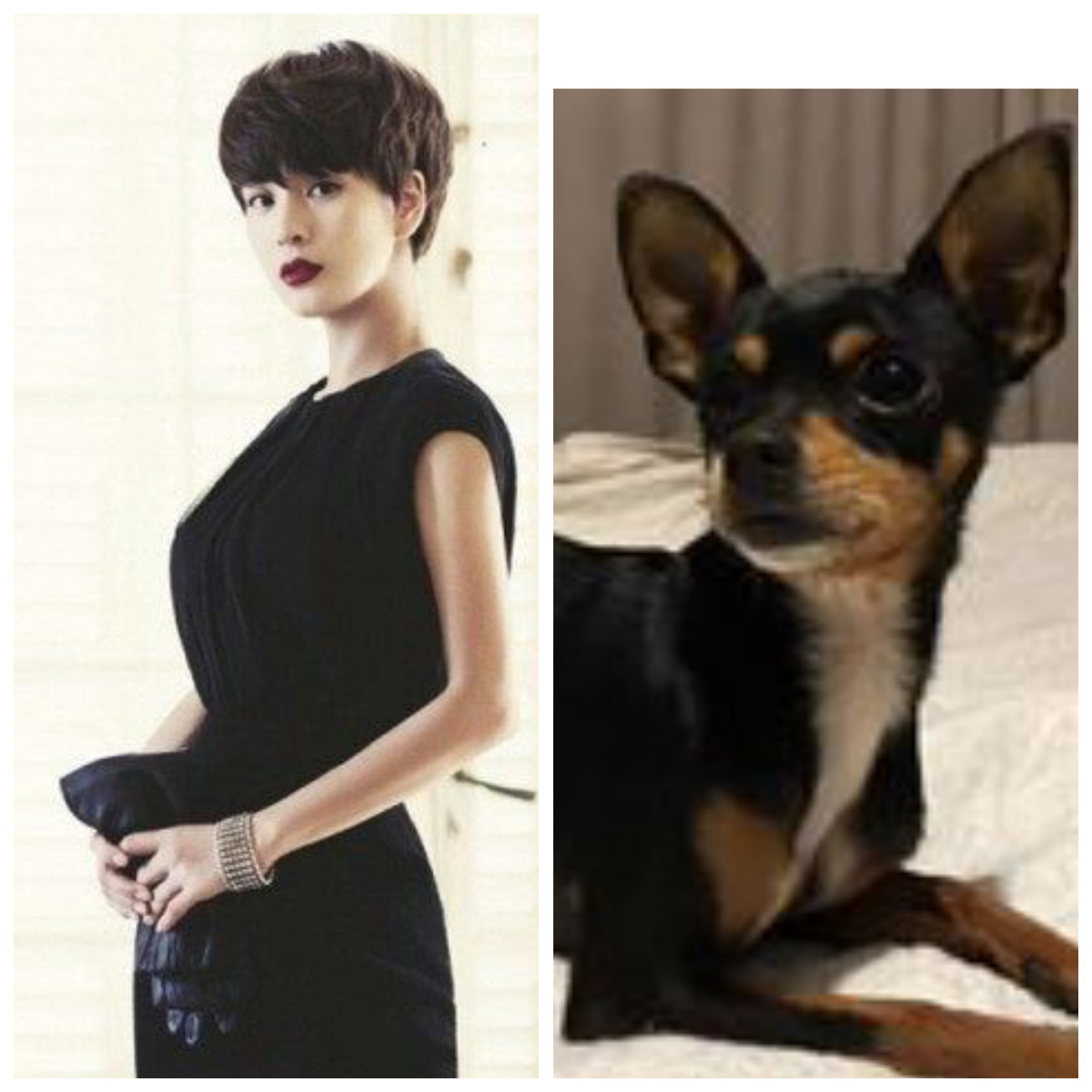 Авторский коллаж.