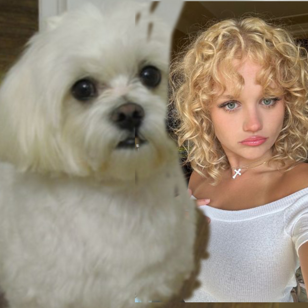 Авторский коллаж.