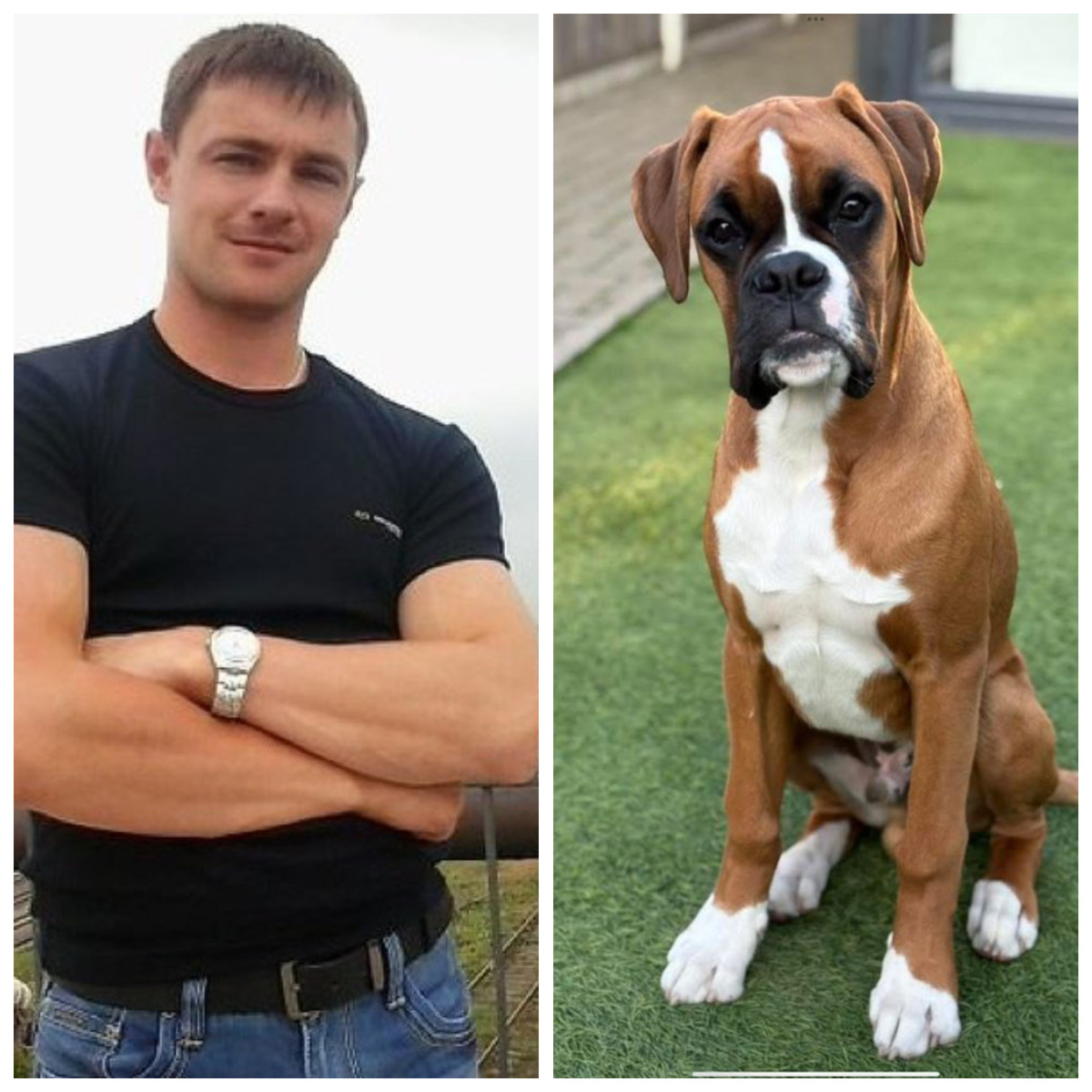 Авторский коллаж.