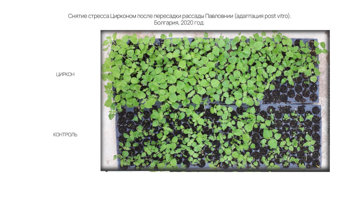 Фотография с официального сайта "НЭСТ М": https://nest-m.ru/efficiency/