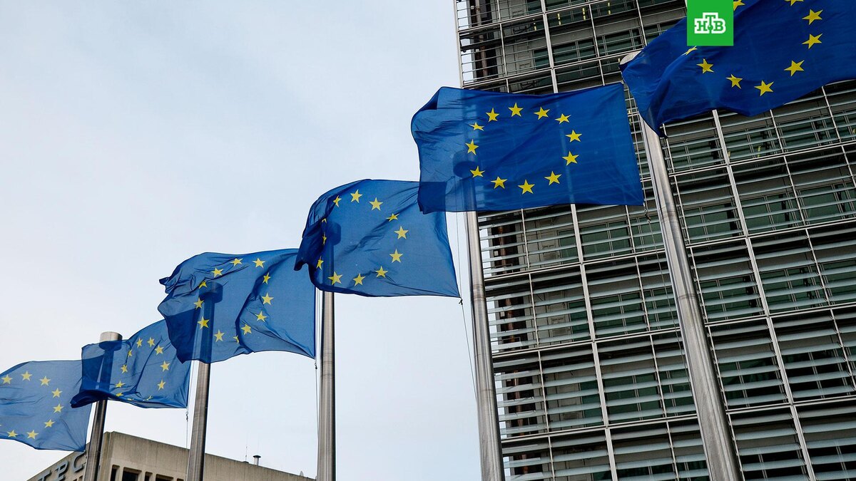    Фото: РИА Новости © 2026, Алексей Витвицкий