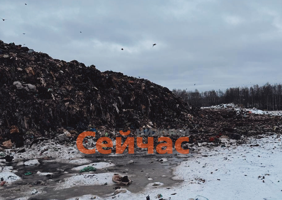    Фото: Росприроднадзор Иван Воробьев