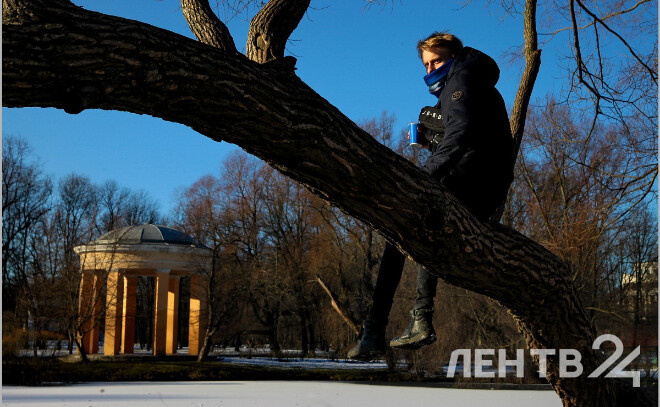    © Анастасия Илюшина / ЛенТВ24, архивное фото